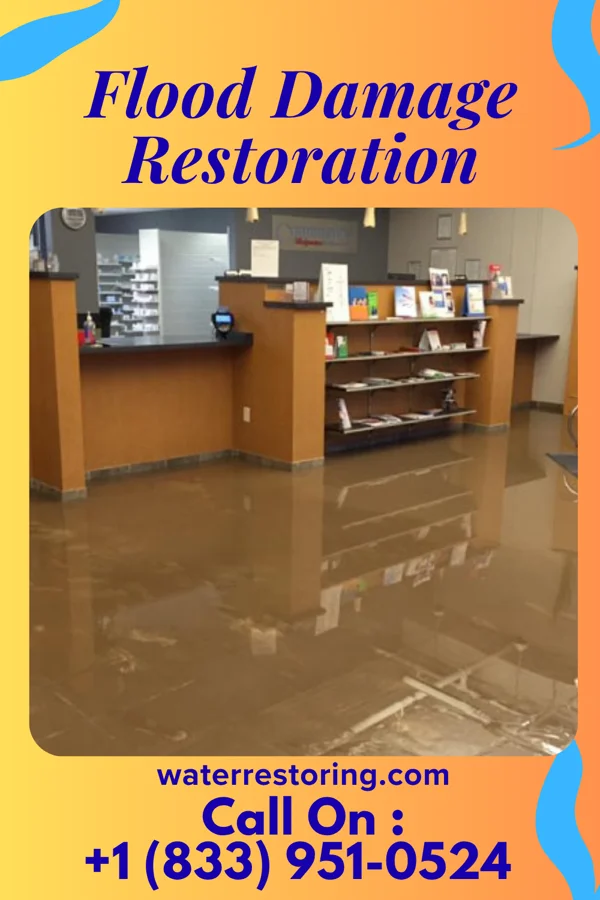 Flood Damage Restoration in Las Animas, CO